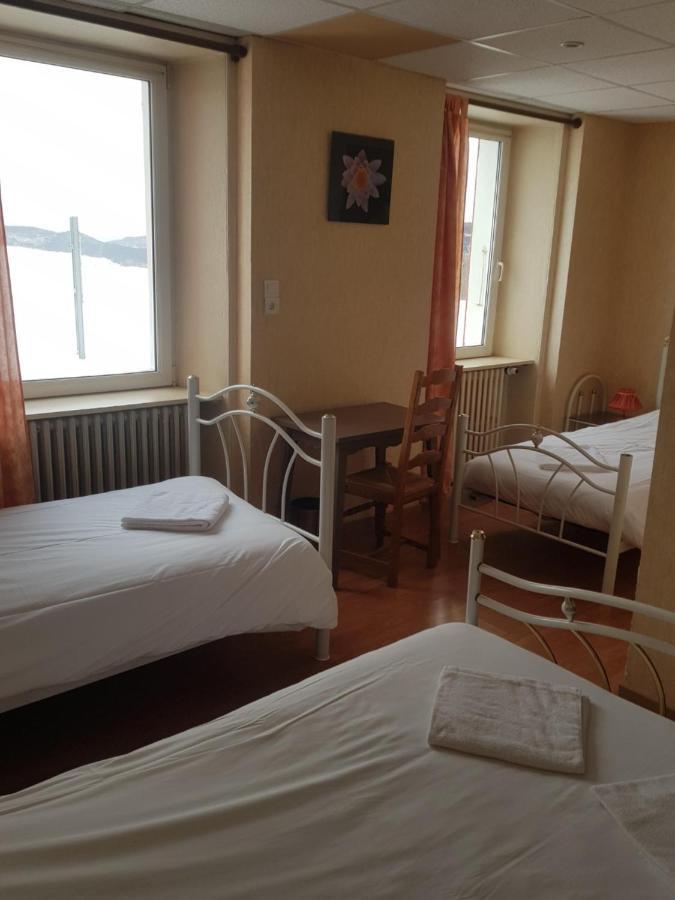 Hotel Des Cevennes Mezilhac Bagian luar foto
