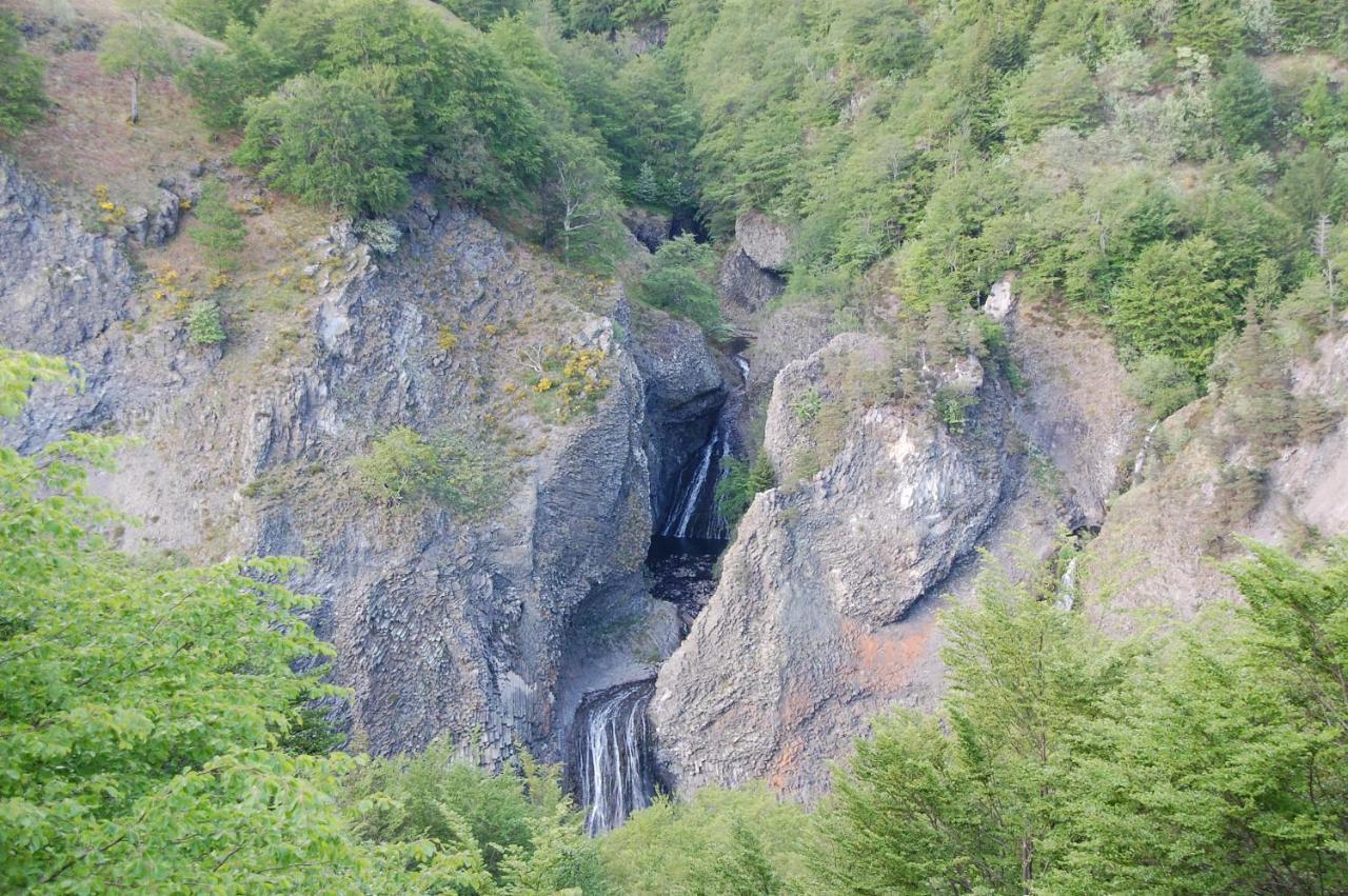 Hotel Des Cevennes Mezilhac Bagian luar foto